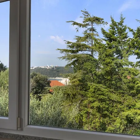 Erla Apartman